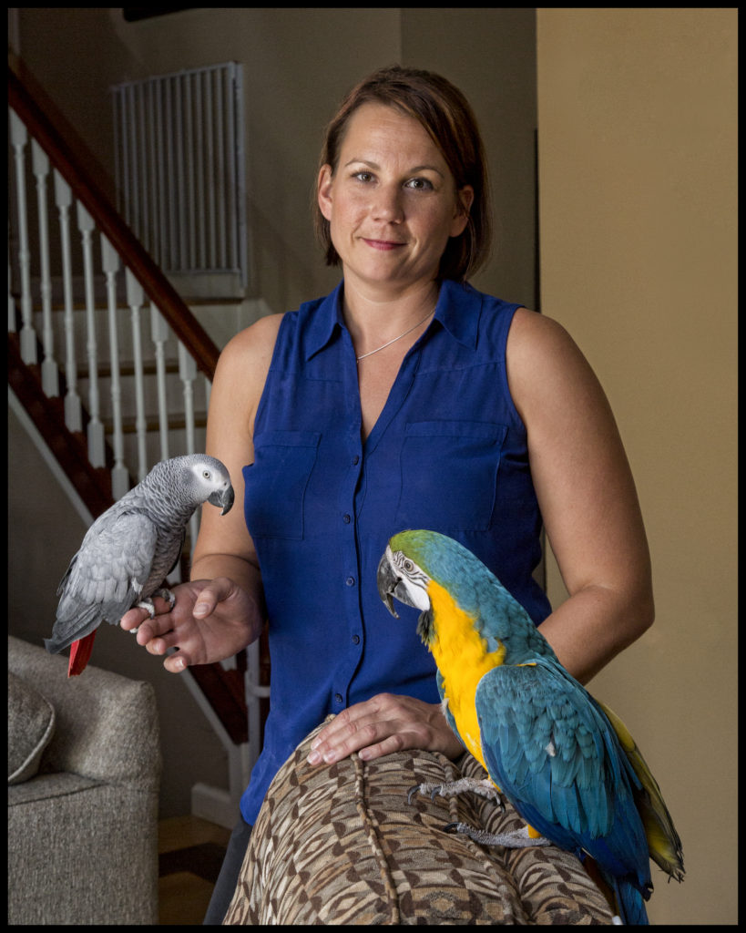 In-home boarding for birds